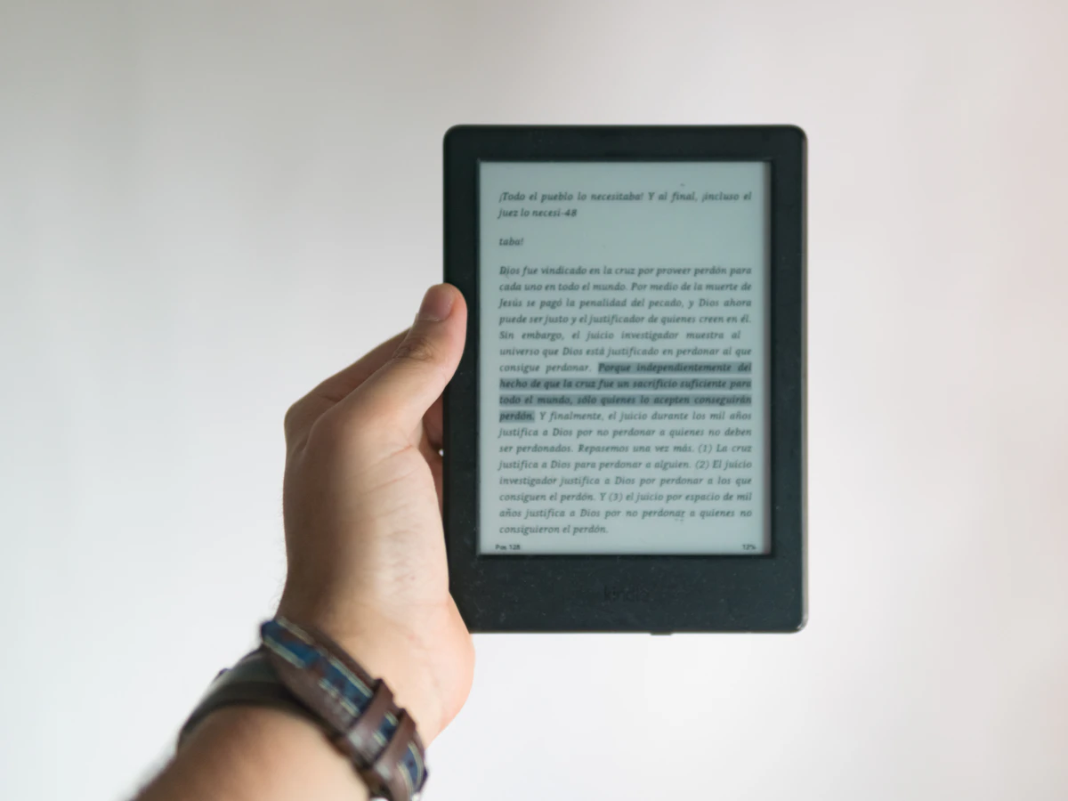eBook displayed on an e-reader